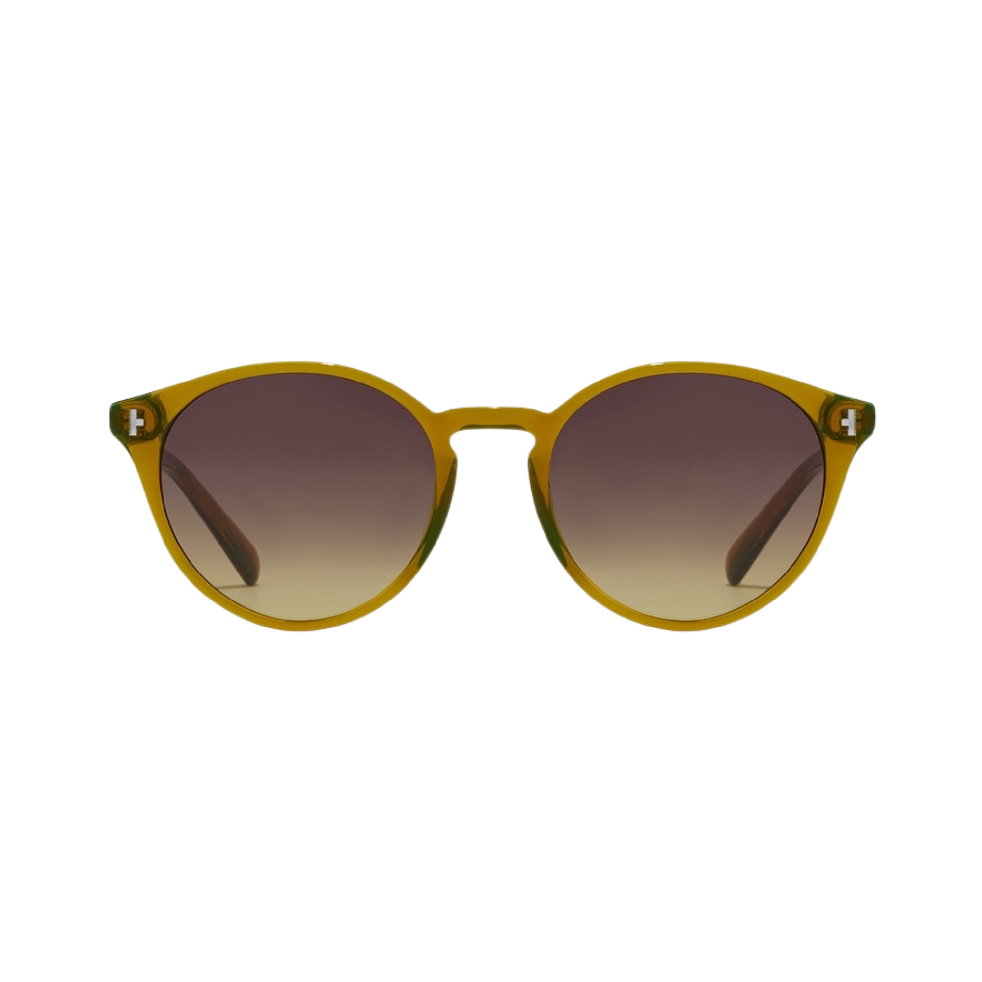 Lentes De Sol - Salt Pistachio Moss