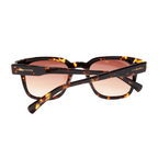 Lentes De Sol - Pierre Gasly - Stack Carey