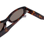 Lentes De Sol - Stellar Carey Antracite Marrón