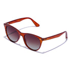 Lentes De Sol - Harlow Polarizado Brown Horn